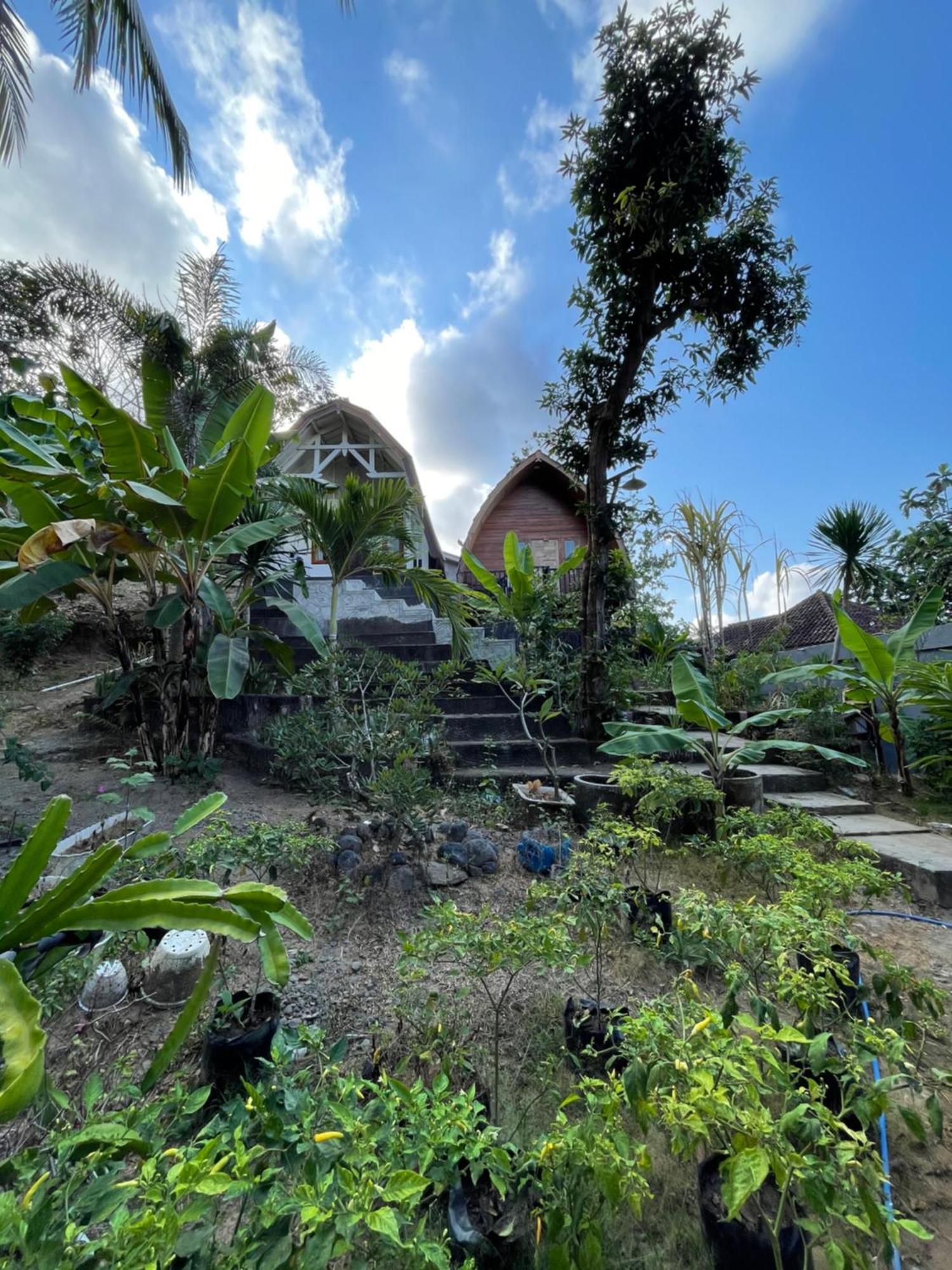 Kuta  Tri Putri Homestay מראה חיצוני תמונה