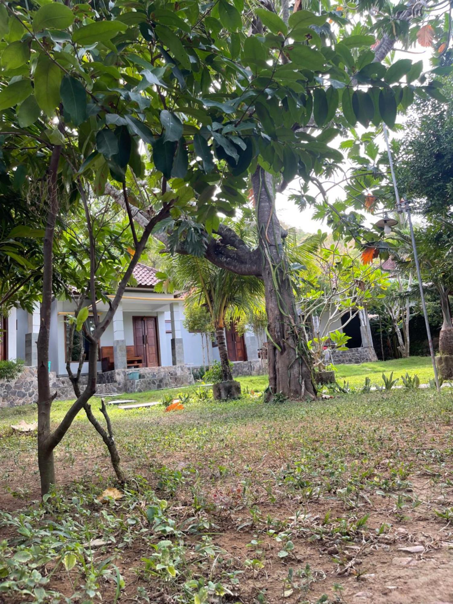 Kuta  Tri Putri Homestay מראה חיצוני תמונה